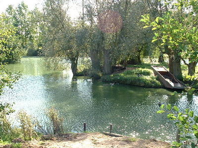 Picture of Homestead Lake Country Park, Essex