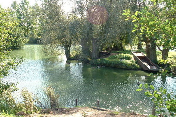 Picture of Homestead Lake Country Park, Essex