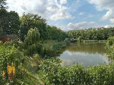 Picture of Leven Park Lake, East Riding Yorkshire