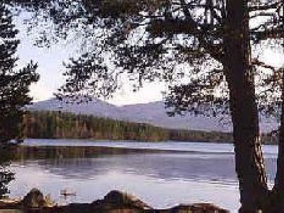 Picture of Loch Garten Lodges & Caravan Park, Highland