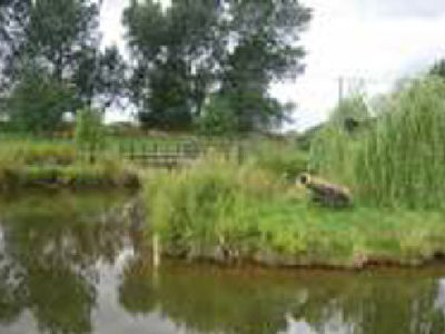 Picture of Milestone Caravan Park, Nottinghamshire