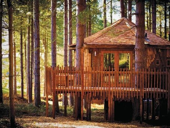 Sherwood Forest Lodges - Holiday Lodge Park in ...