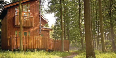 Sherwood Castle Holiday Forest Near Rufford With Pet Friendly Lodges