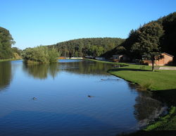 Thurston Manor Lake 