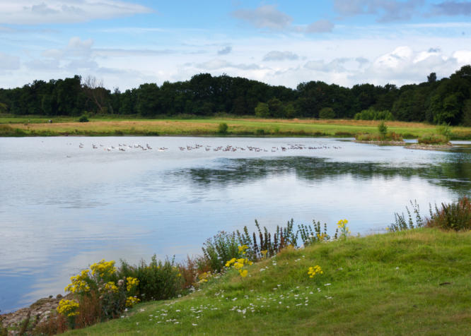 Witton Castle Country Park - Holiday Lodge Park in Durham, North of England