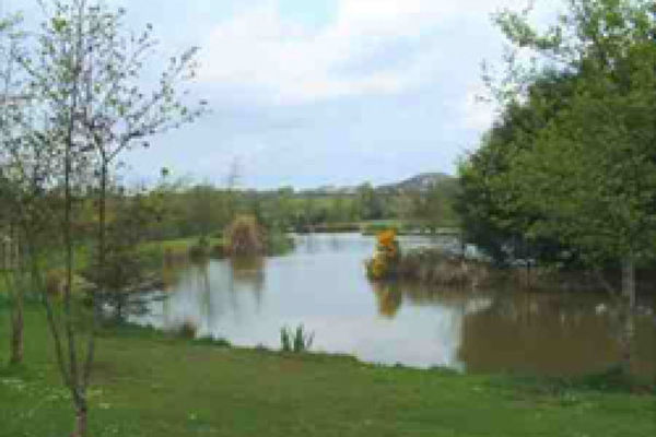 Picture of Woodacott Holiday Park, Devon